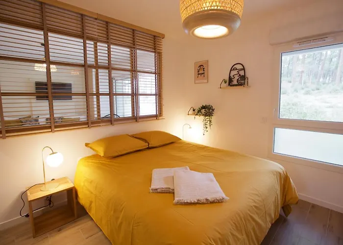 * * * Foret * Couple * Famille Apartment *